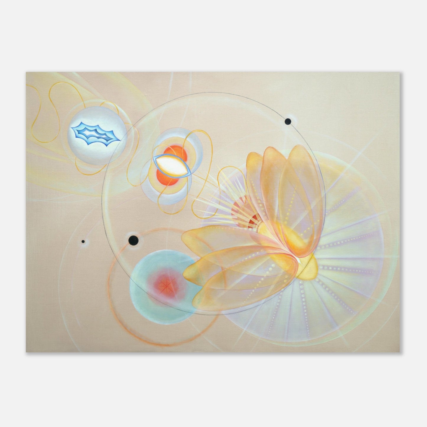 048be691-fe70-43fd-a806-7eb00706d0a1