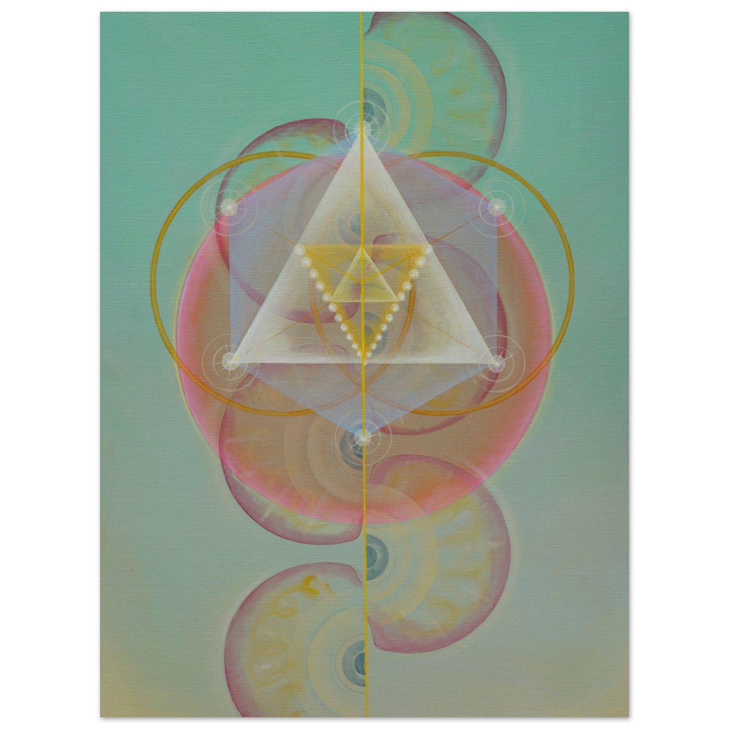 53c4a506-1f45-491e-b213-f72932eb103b