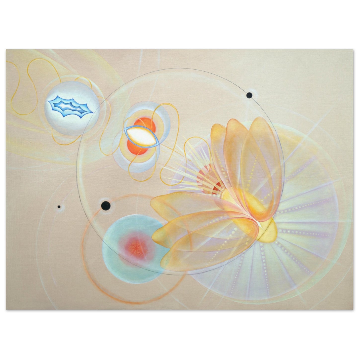 71e63a35-87c1-464a-9c31-aa61f705d24f